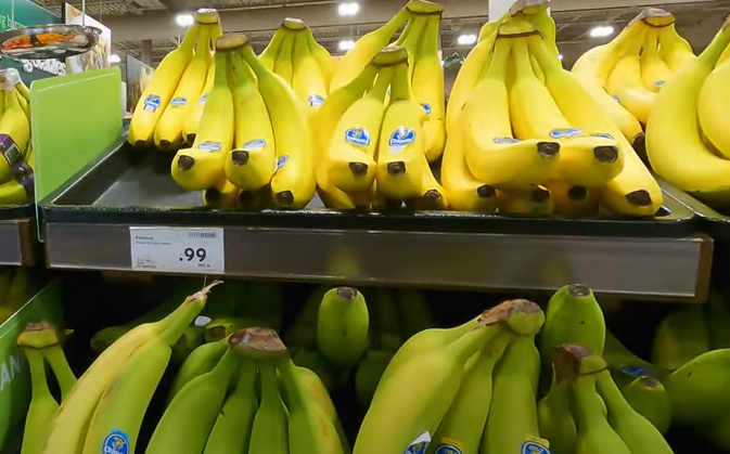 اسعار المواد الغذائية في امريكا