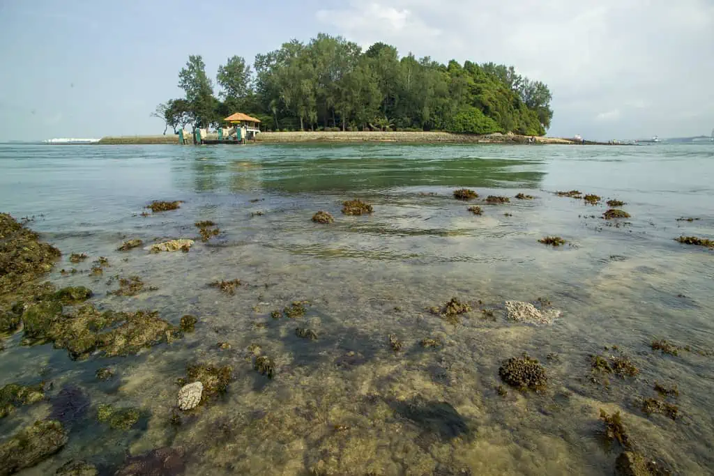 الرحلات البحرية والجزر