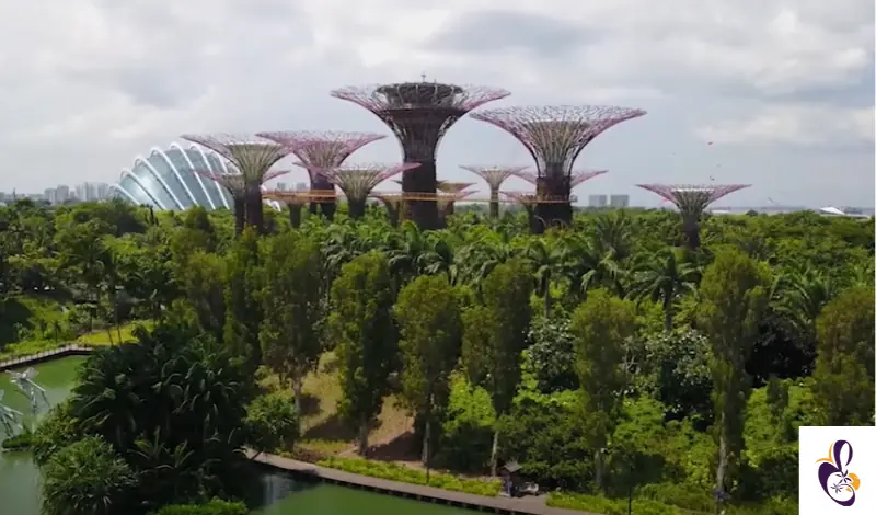 حدائق الخليج Gardens by the Bay