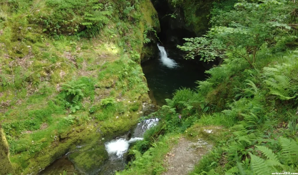 زيارة المزارع التعليمية والحدائق الحيوانية