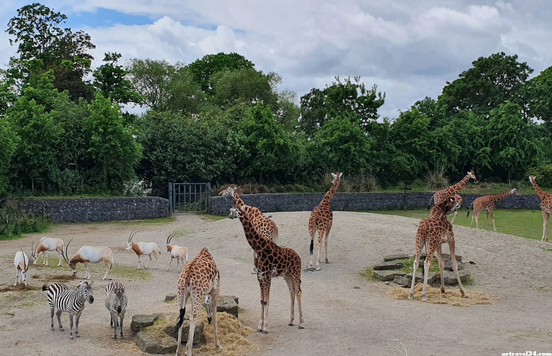 صورة ملتقطة لحديقة Phoenix Park (دبلن)