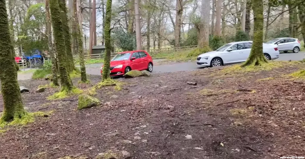 التنزه في Killarney National Park